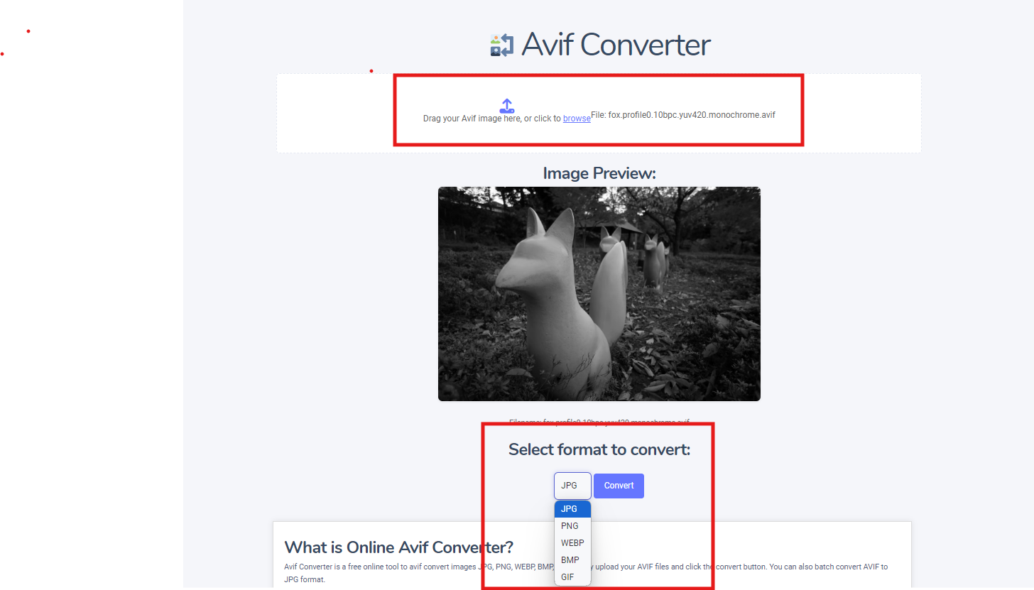 Avif Convert Example